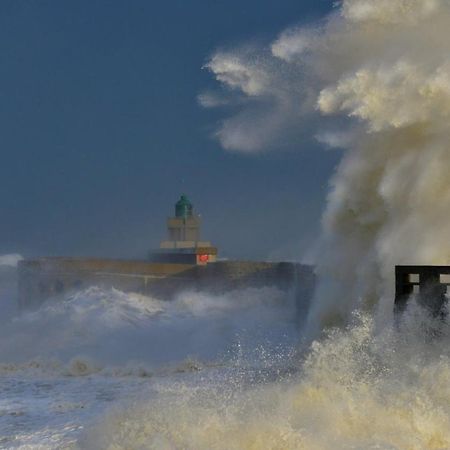 Avec Jardinet Sans Vis A Vis Plein Centre Ville Au Rdc 350M De La Plage Dieppe Dış mekan fotoğraf