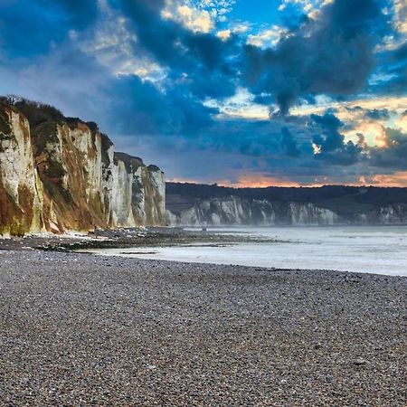 Avec Jardinet Sans Vis A Vis Plein Centre Ville Au Rdc 350M De La Plage Dieppe Dış mekan fotoğraf