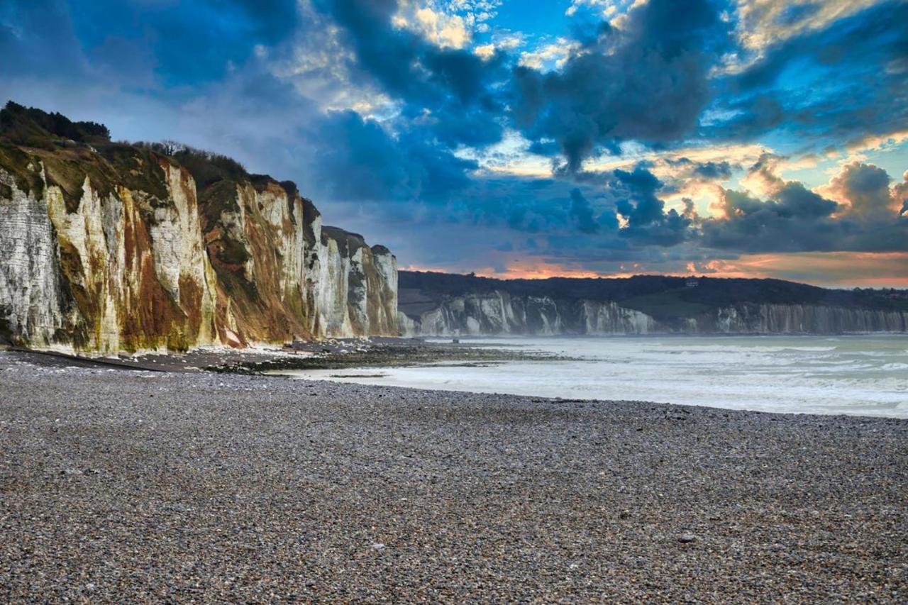 Avec Jardinet Sans Vis A Vis Plein Centre Ville Au Rdc 350M De La Plage Dieppe Dış mekan fotoğraf